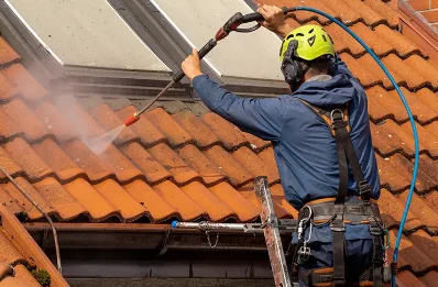 Démoussage et hydrofuge de toiture à Lechâtelet